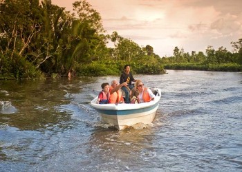 Sandakan - Gomantong Cave & Kinabatangan River Cruise