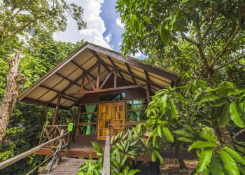 3D2N Borneo Sepilok Rainforest Resort & Kinabatangan River Cruise