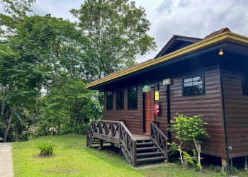 3D2N Sepilok Forest Edge Resort & Kinabatangan River Safari