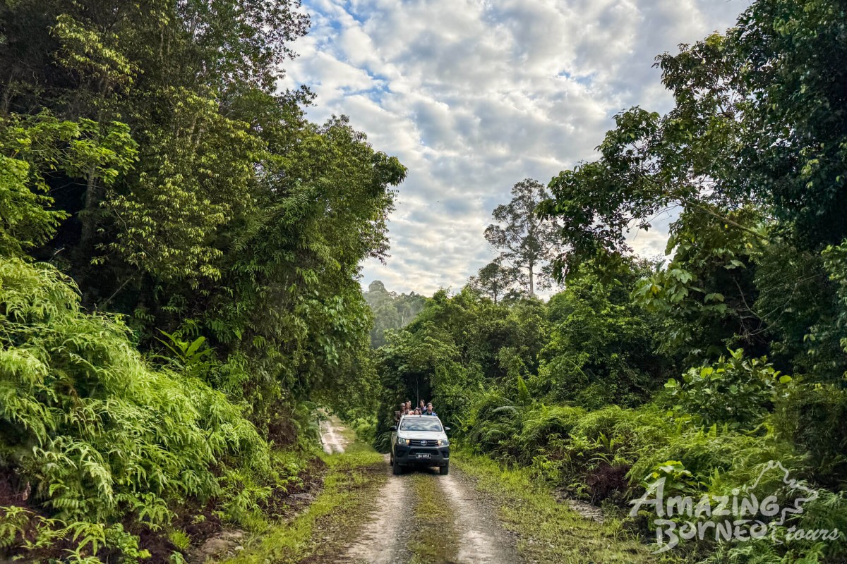 4D3N Trusan Sugut Wildlife Safari – Borneo's Rainforest Wilderness - Amazing Borneo Tours