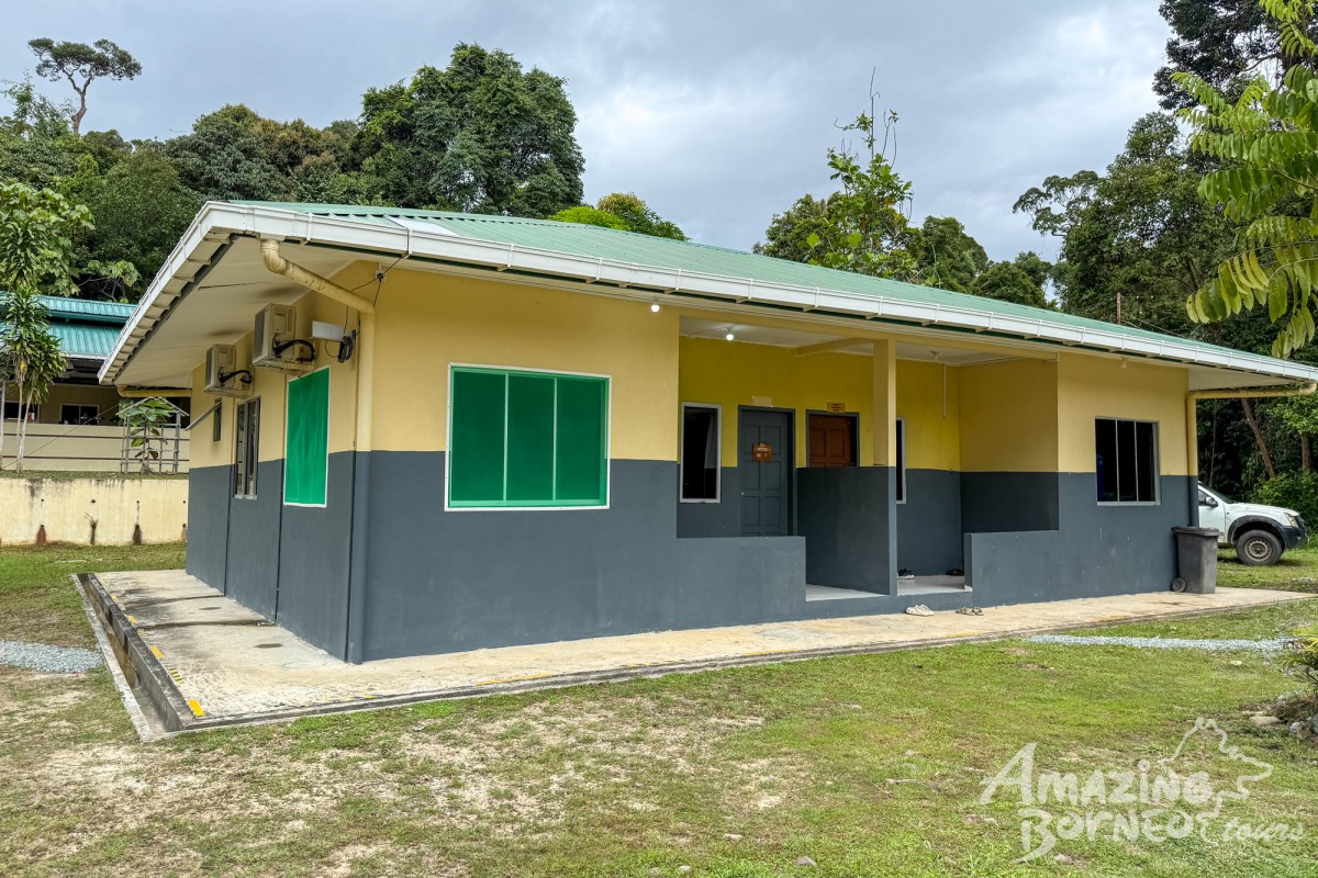 4D3N Trusan Sugut Wildlife Safari – Borneo's Rainforest Wilderness - Amazing Borneo Tours