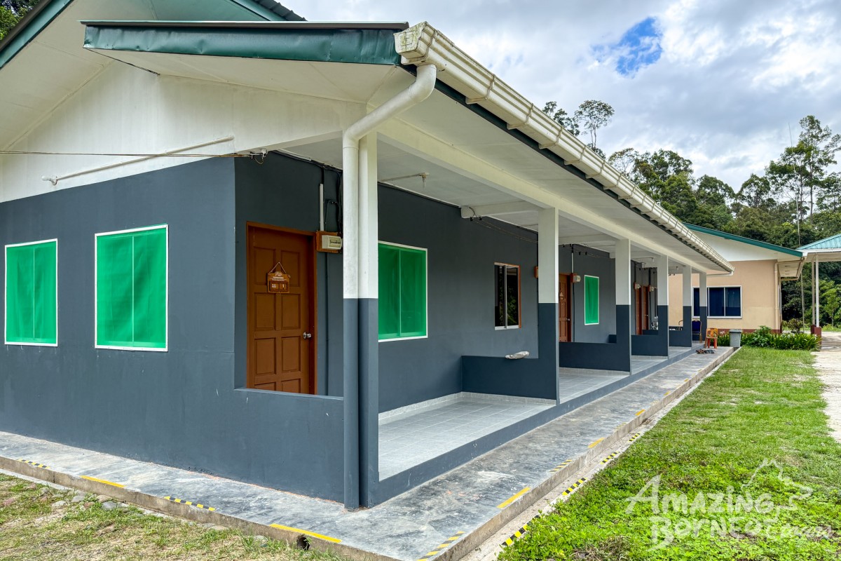 4D3N Trusan Sugut Wildlife Safari – Borneo's Rainforest Wilderness - Amazing Borneo Tours