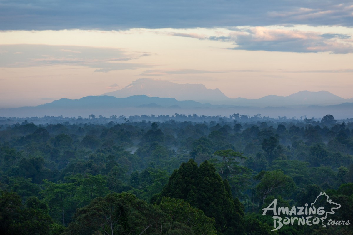 4D3N Trusan Sugut Wildlife Safari – Borneo's Rainforest Wilderness - Amazing Borneo Tours