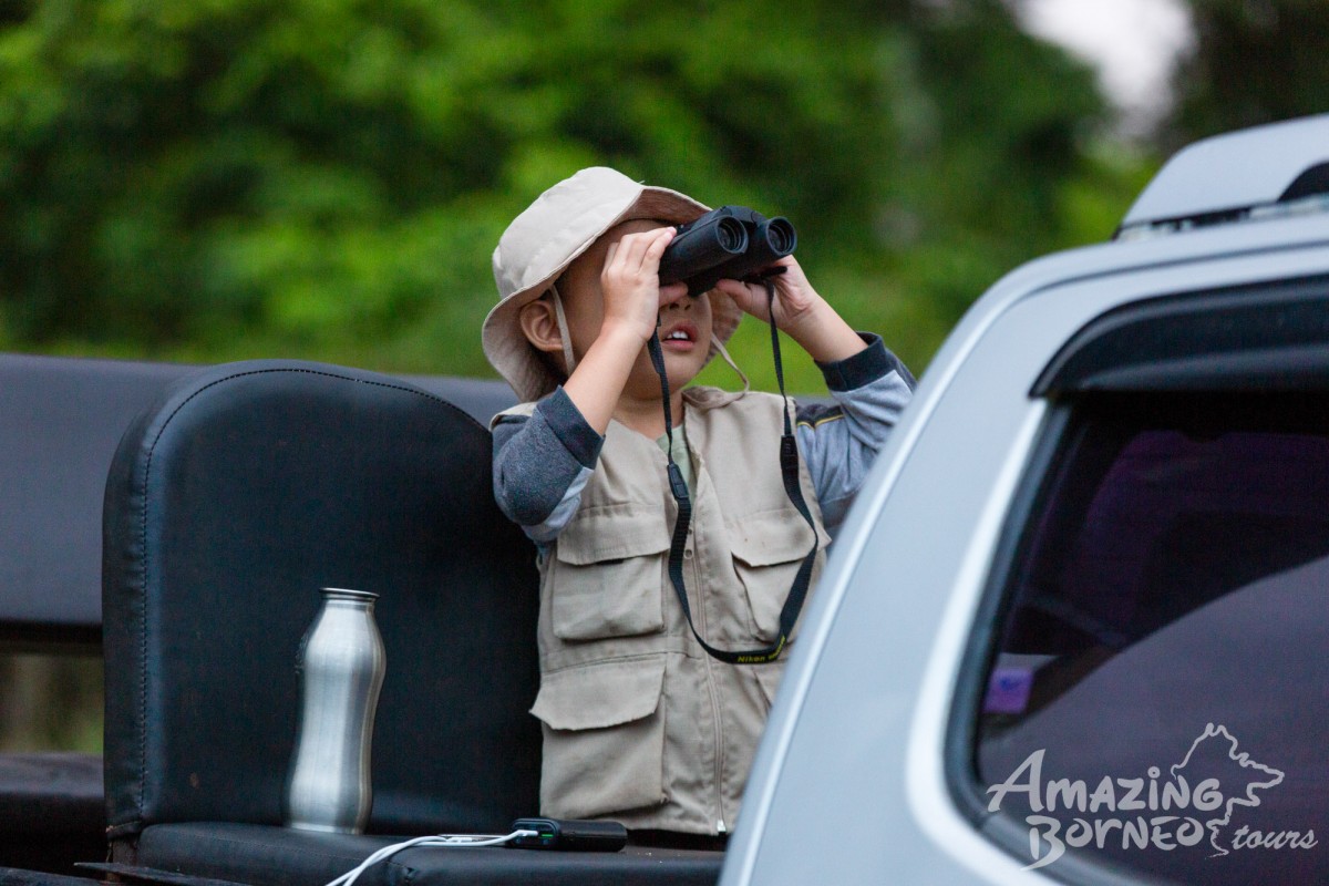 4D3N Trusan Sugut Wildlife Safari – Borneo's Rainforest Wilderness - Amazing Borneo Tours