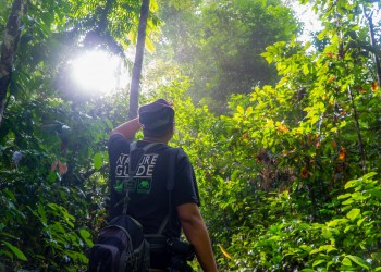 5D4N Danum Valley Birdwatching with INFAPRO Conservation Stay