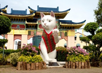 17D16N Best of Borneo: Kuching, Mulu, Kota Kinabalu, Tabin Rainforest, Sepilok Orangutan, and Kinabatangan River
