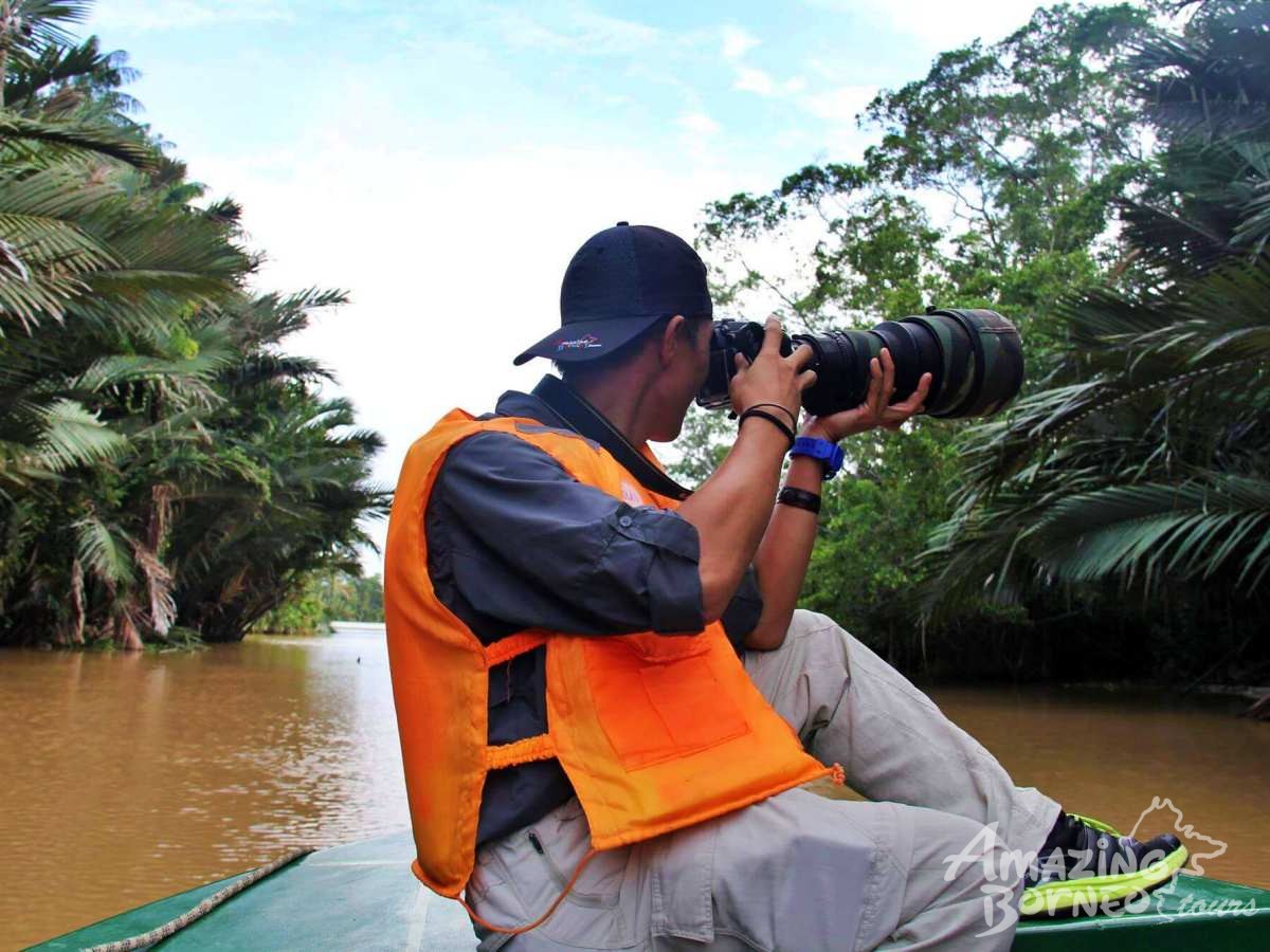 3D2N Bilit Rainforest Lodge - Sepilok Orangutan / Kinabatangan River / Gomantong Cave / Sandakan - Amazing Borneo Tours