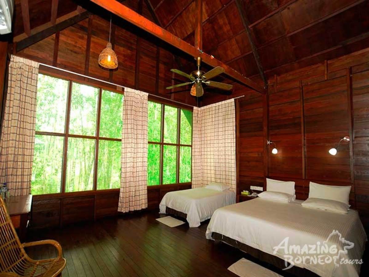 3D2N Bilit Rainforest Lodge - Sepilok Orangutan / Kinabatangan River / Gomantong Cave / Sandakan - Amazing Borneo Tours