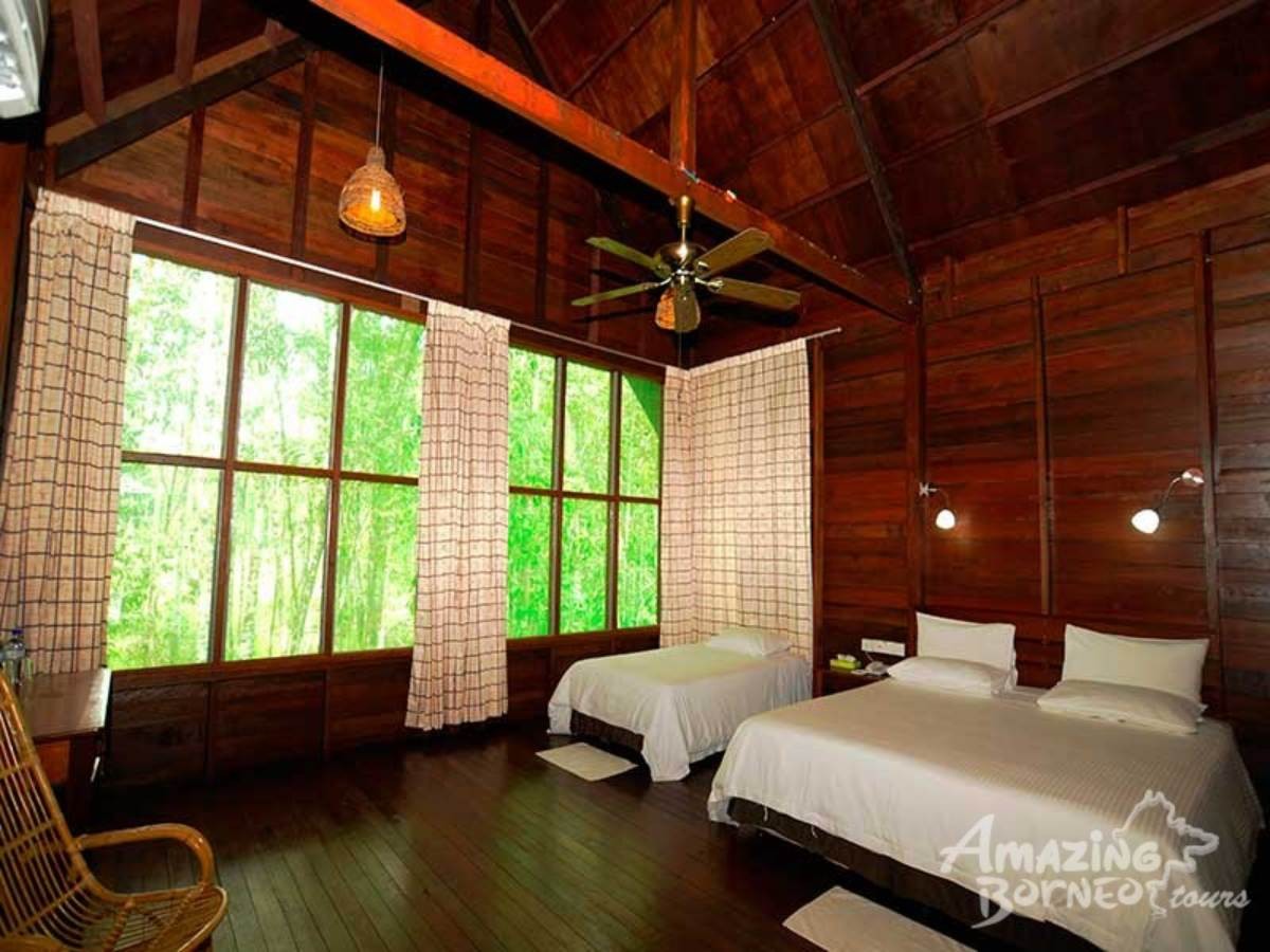 4D3N Bilit Rainforest Lodge - Sepilok Orangutan / Kinabatangan River / Gomantong Cave / Sandakan - Amazing Borneo Tours