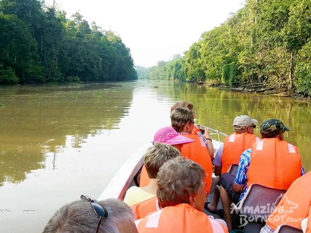 4D3N Bilit Rainforest Lodge - Sepilok Orangutan / Kinabatangan River / Gomantong Cave / Sandakan - Amazing Borneo Tours