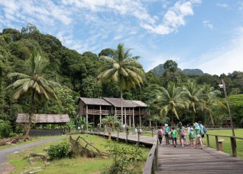 17D16N Sabah & Sarawak Adventure with Tabin, Danum Valley, Bako, Mulu Caves, and Irrawaddy Dolphins 
