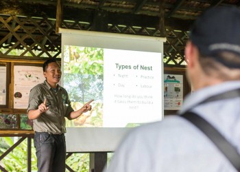 17D16N Sabah & Sarawak Adventure with Bako, Mulu Caves, Gaya Island, Kinabalu Geopark, Sukau Rainforest Lodge, and Borneo Rainforest Lodge 