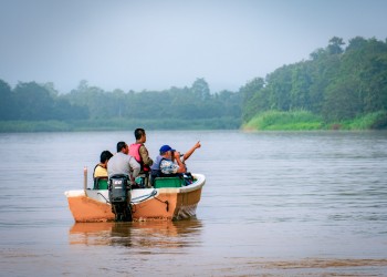 8D7N Borneo Eco-Tour: Sepilok Orangutan, Kinabatangan, Bilit, Danum Valley, and Gaya Island Resort (Budget) 