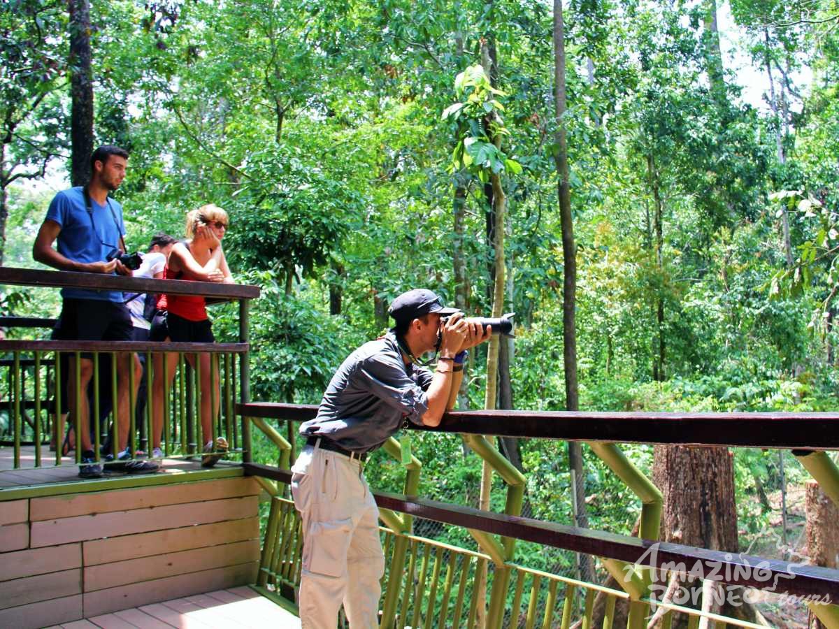 3D2N Selingan Turtle Island & Bilit Rainforest Lodge - Sepilok Orangutan / Turtle Island / Kinabatangan River / Gomantong Cave / Sandakan - Amazing Borneo Tours