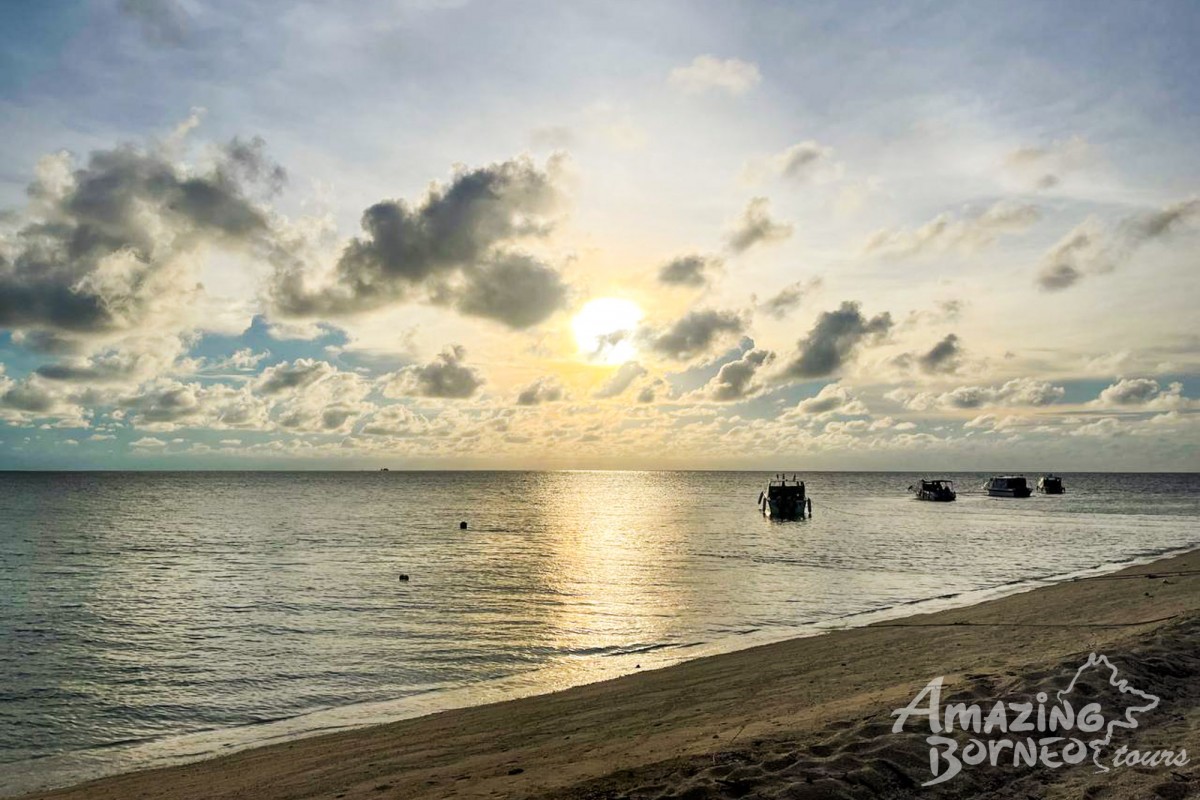 4D3N Selingan Turtle Island & Bilit Rainforest Lodge - Sepilok Orangutan / Turtle Island / Kinabatangan River / Gomantong Cave / Sandakan - Amazing Borneo Tours