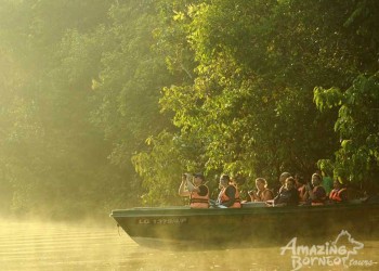 4D3N Selingan Turtle Island & Bilit Rainforest Lodge - Sepilok Orangutan / Turtle Island / Kinabatangan River / Gomantong Cave / Sandakan