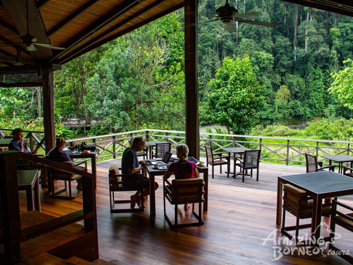 3D2N Borneo Rainforest Lodge & Blue Rings Reef – Danum Valley Eco-Adventure - Amazing Borneo Tours