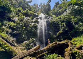 3D2N Borneo Rainforest Lodge & Blue Rings Reef – Danum Valley Eco-Adventure