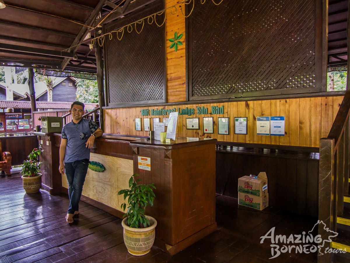 5D4N Selingan Turtle Island & Bilit Rainforest Lodge - Sepilok Orangutan / Turtle Island / Kinabatangan River / Gomantong Cave / Sandakan - Amazing Borneo Tours