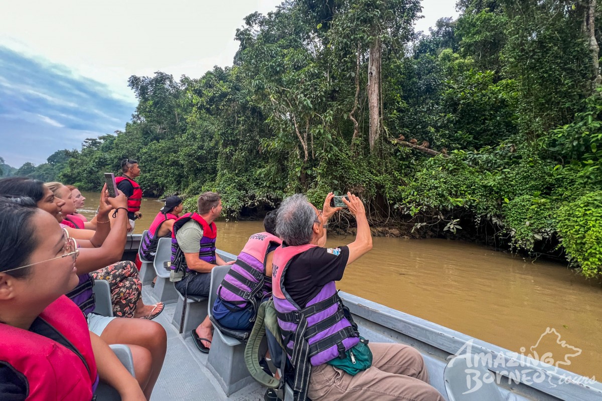 2D1N Tanini Kinabatangan Wildlife & River Cruise Adventure  - Amazing Borneo Tours