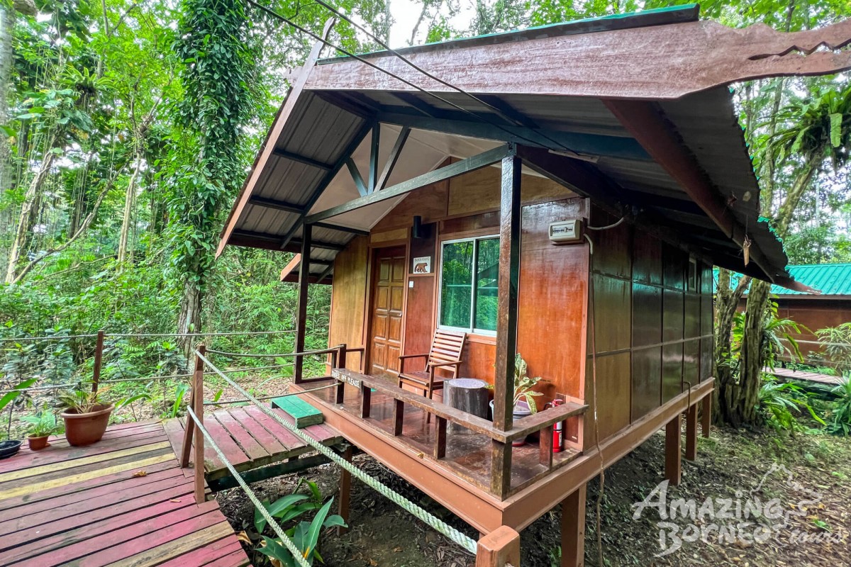 2D1N Tanini Kinabatangan Wildlife & River Cruise Adventure  - Amazing Borneo Tours
