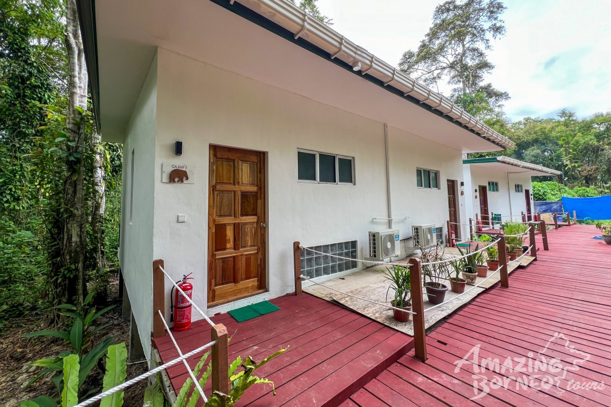 2D1N Tanini Kinabatangan Wildlife & River Cruise Adventure  - Amazing Borneo Tours