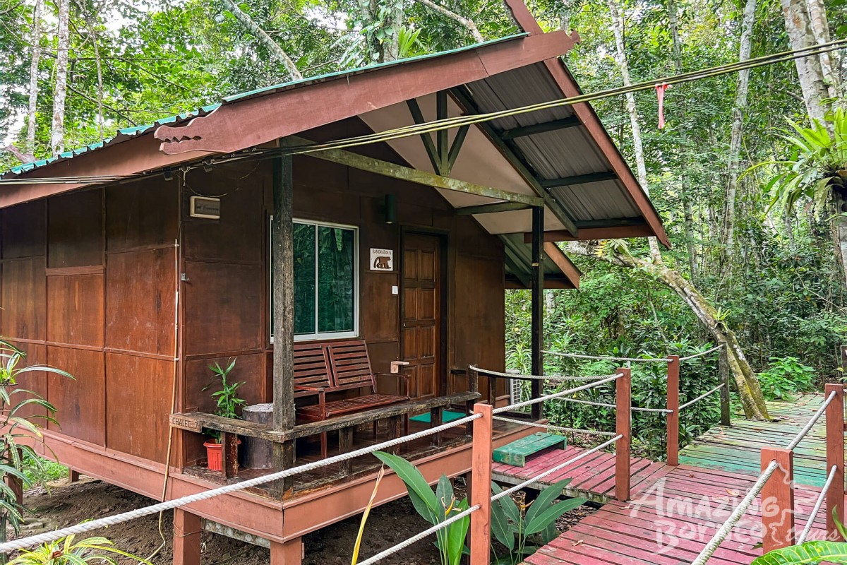 2D1N Tanini Kinabatangan Wildlife & River Cruise Adventure  - Amazing Borneo Tours