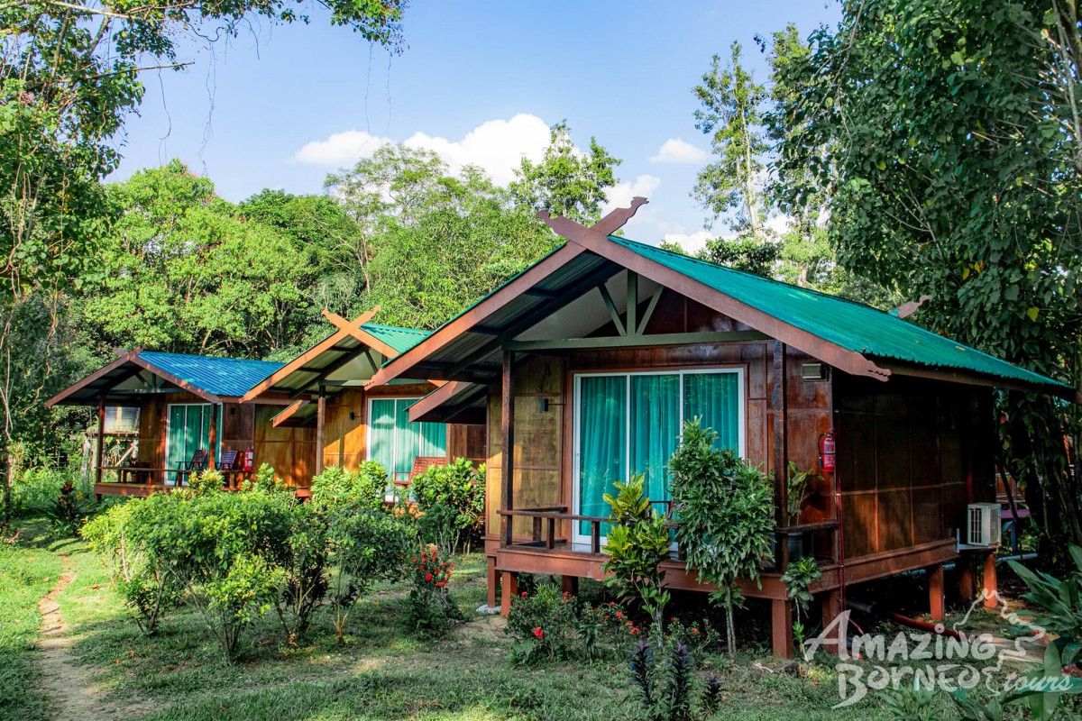 2D1N Tanini Kinabatangan Wildlife & River Cruise Adventure  - Amazing Borneo Tours