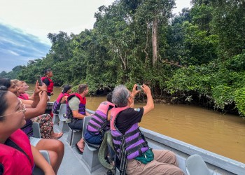 2D1N Tanini Kinabatangan Wildlife & River Cruise Adventure 