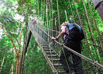 5D4N Pahang Jungles & Highlands