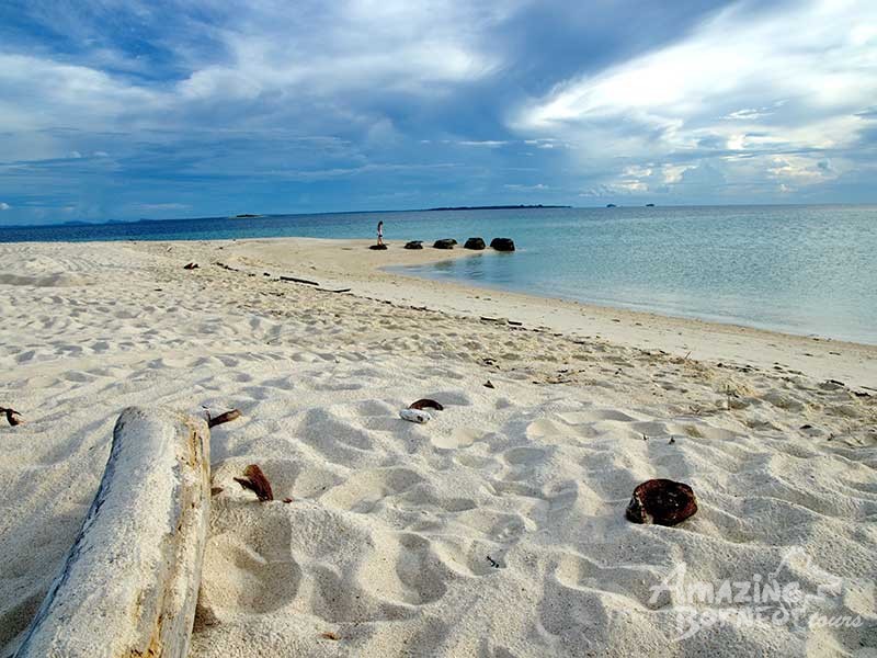 selingan turtle island tour