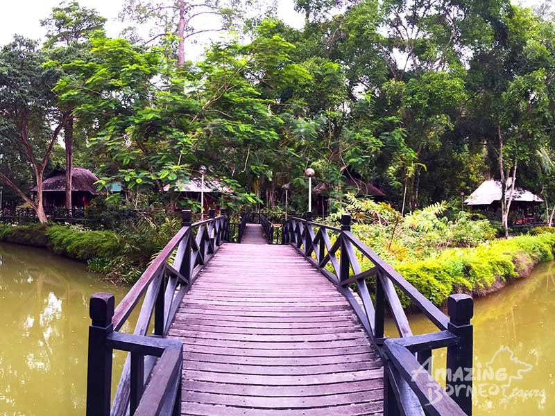 2D1N Sepilok Nature Resort Stay & Tour - Amazing Borneo Tours