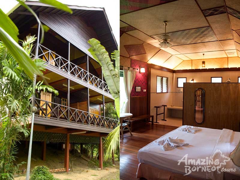 Sepilok Nature Resort Stay Tour - Amazing Borneo Tours