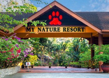 2D1N Sepilok Orangutan, Sun Bear & Labuk Bay Tour with MY Nature Resort Stay 