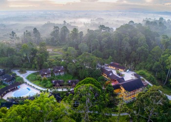 3D2N Sepilok Orangutan, Bornean Sun Bear & Rainforest Discovery Centre with MY Nature Resort Stay