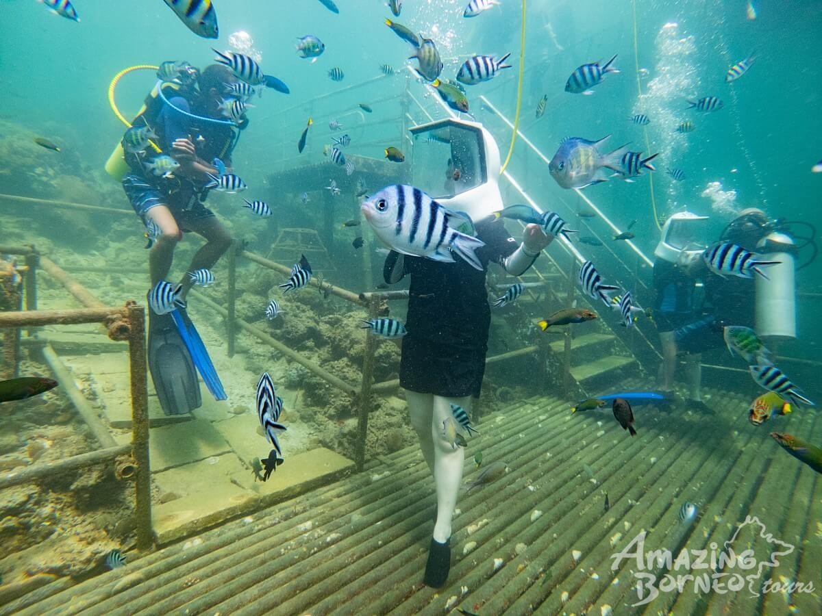 JSK Borneo Reef Pontoon Day Trip - Amazing Borneo Tours