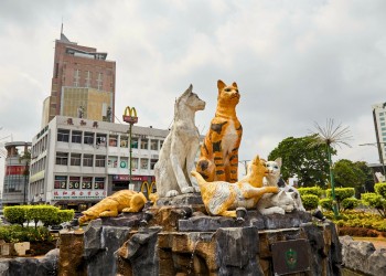 5D4N Kuching Nature, Culture & Food Tour: Orangutans, Caves, Heritage Walk & Sarawak Farmstay