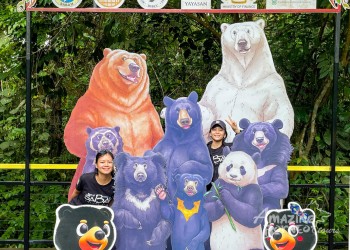 2D1N Sandakan Wildlife Experience with Ormond Hotel Sandakan Stay Featuring Orangutans, Sun Bears, and Proboscis Monkeys