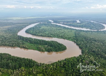 4D3N Sepilok & Kinabatangan Wildlife Safari with Abai Jungle Lodge & Kinabatangan Riverside Lodge Stay
