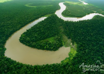 5D4N Sandakan Wildlife Safari with Sepilok & Kinabatangan River Experience