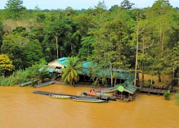 3D2N Kinabatangan River Cruise Safari with Bilit Adventure Lodge Stay