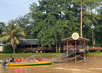 3D2N Selingan Turtle Island & Kinabatangan River Cruise Safari with Sepilok Orangutan & Bornean Sun Bear