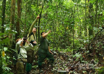 3D2N Borneo Rainforest Lodge - Danum Valley Rainforest Beauty Experience
