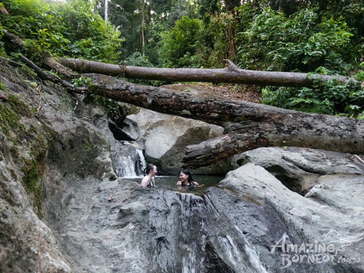 4D3N Borneo Rainforest Lodge - Danum Valley Rainforest Adventure - Amazing Borneo Tours
