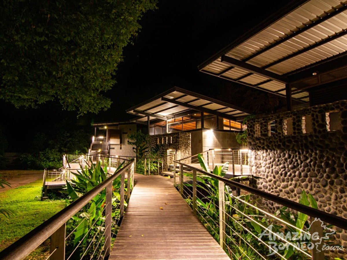 4D3N Borneo Rainforest Lodge - Danum Valley Rainforest Adventure - Amazing Borneo Tours