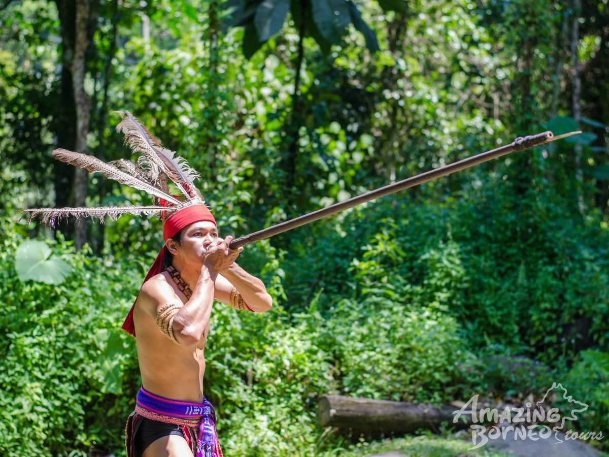 North Borneo Express & Sunset Dinner Cruise - 7 Days - Amazing Borneo Tours