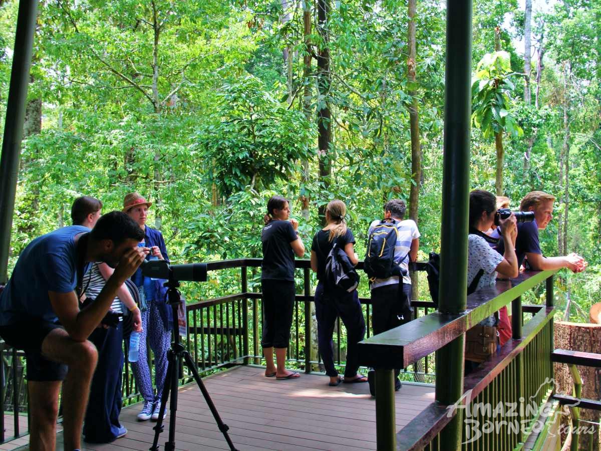 Borneo Wildlife Safari & Resort Retreat - 6 Days - Amazing Borneo Tours
