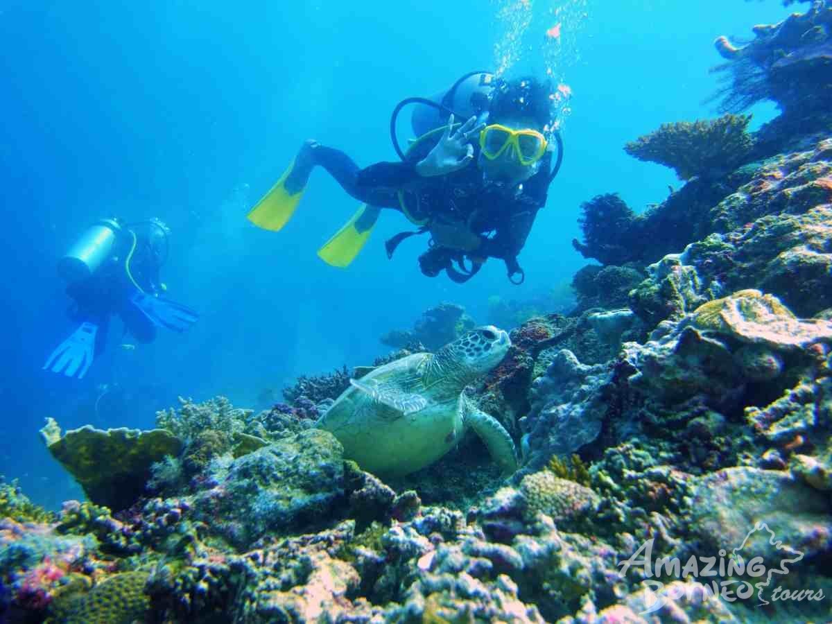 Scuba Diving Adventure (For Cert Diver) - Amazing Borneo Tours