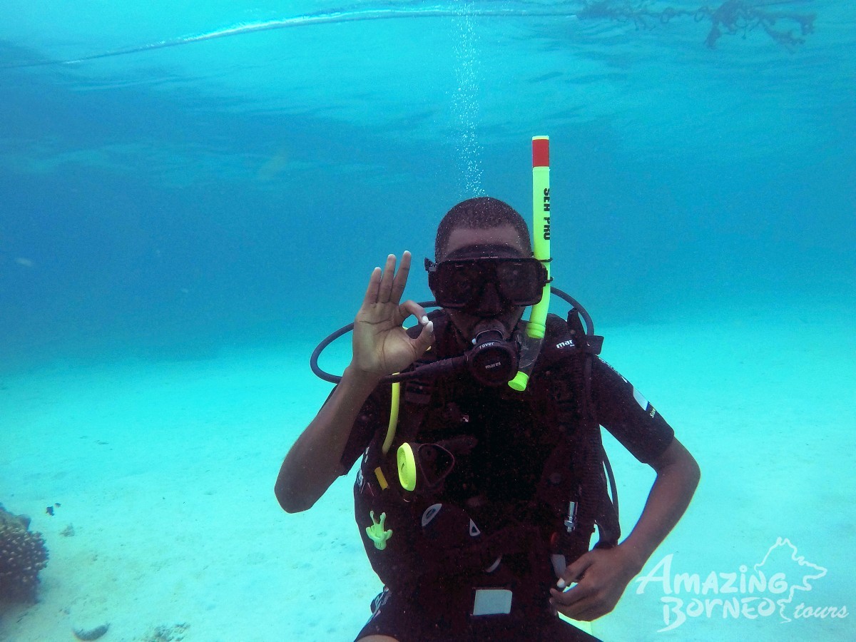 Discover Scuba Diving (For Non-Cert Diver) - Amazing Borneo Tours