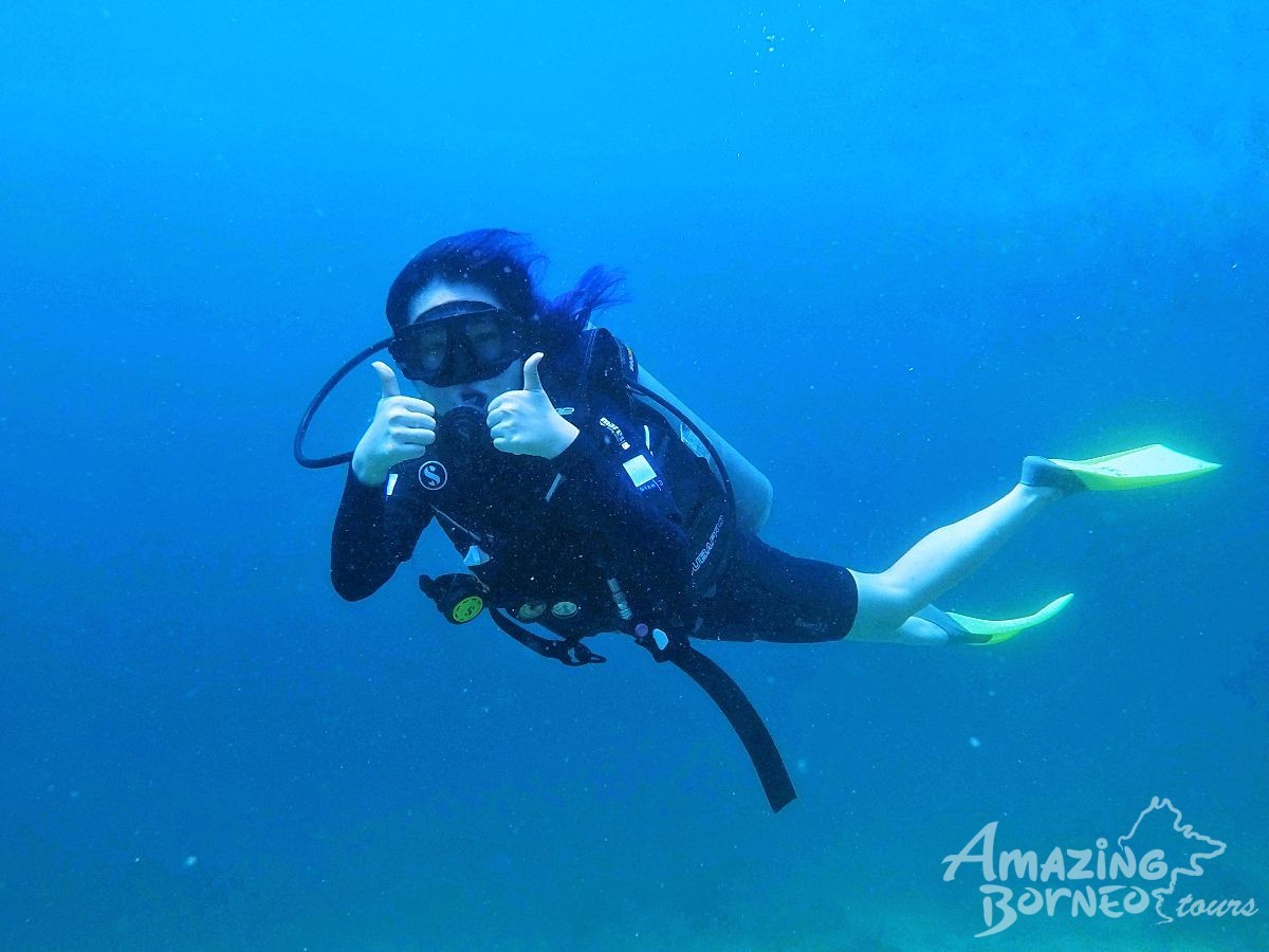 Discover Scuba Diving (For Non-Cert Diver) - Amazing Borneo Tours